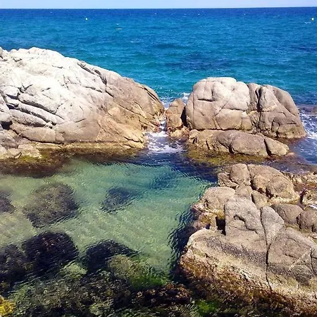 Cap Roig & By Brava 플라티야 다로