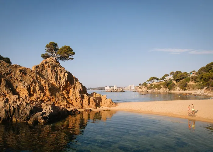 Hotel Cap Roig&spa By Brava